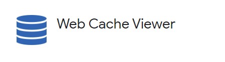 Web Cache Viewer